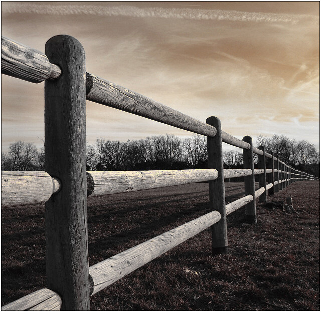 Looking Down the Fence