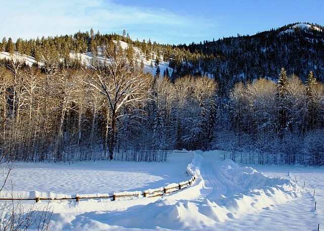 A Fence is Useless in the Snow