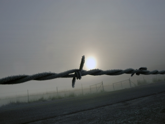 Barbed Wire The taming of the West