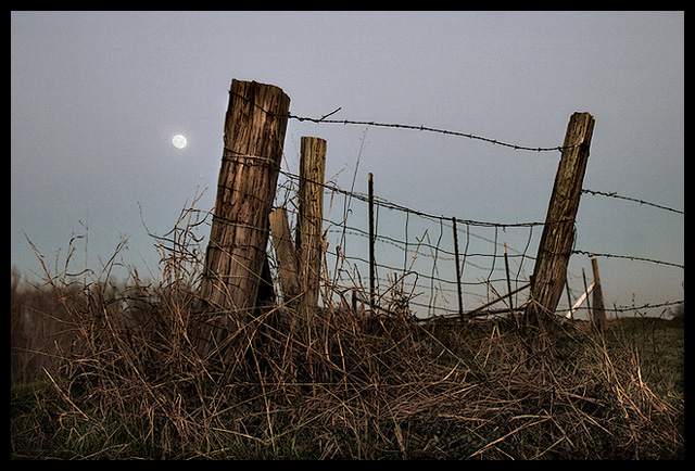 Fence Post Blues