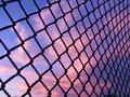 fence