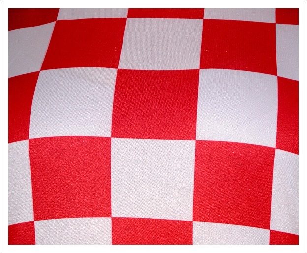 Croatian female soccer team- front detail :-)