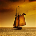 The Voyage