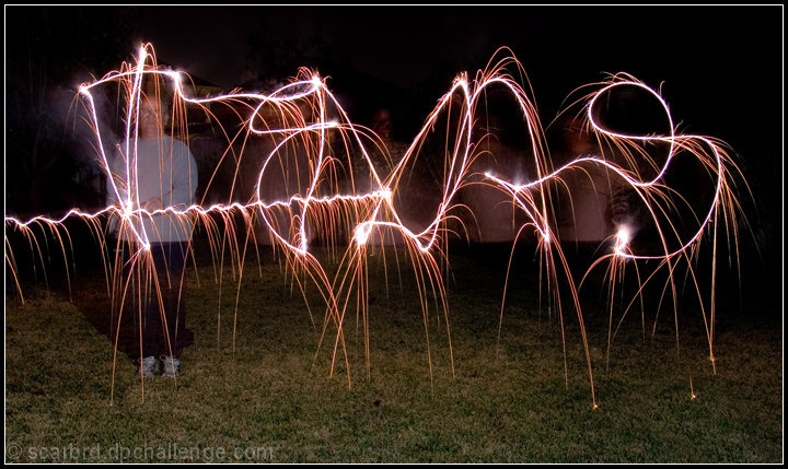 Happy New Year From Texas!