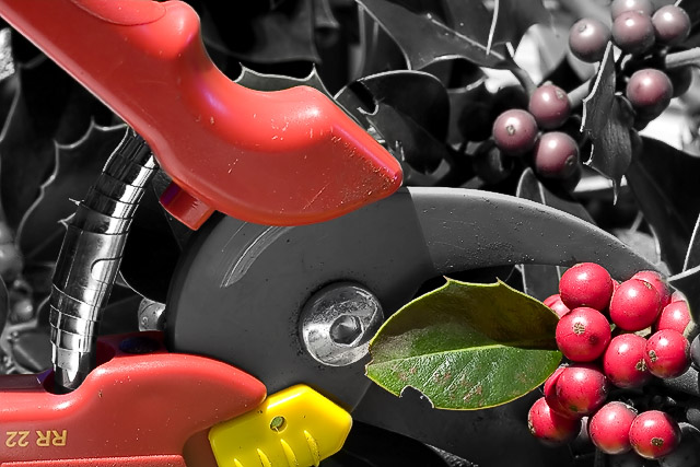 Have to do some gardening....