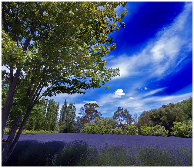A Weekend in the Country...Procrastinating Workaholic