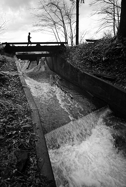 Running Daily