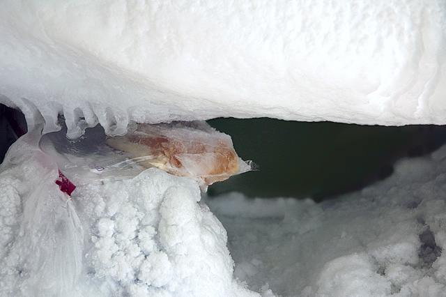 Stalactite Perdue Stalagmite