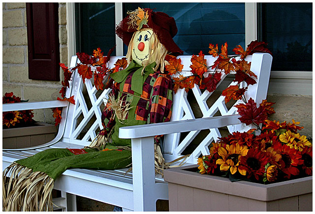 Still Fall in January