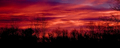 Winter Sunrise