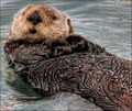 Lounging in the Bay