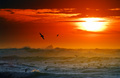 California Sunset
