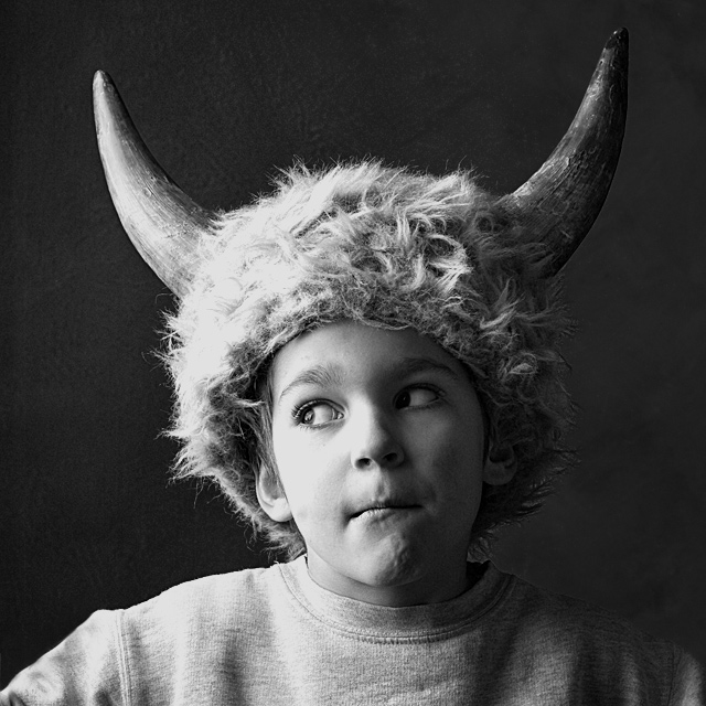 The Viking