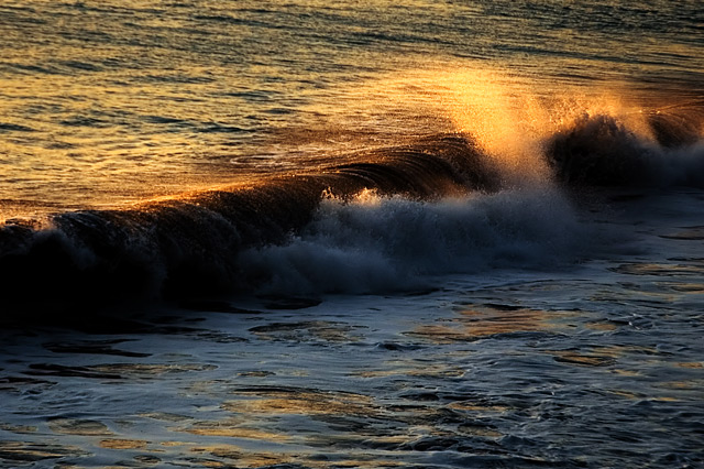 Evening Waves