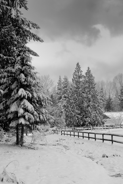 A Barn Winter