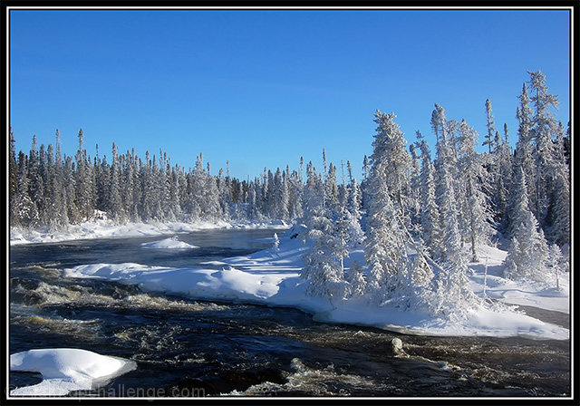 Winter Wonderland