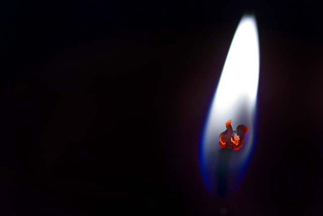 flaming flower