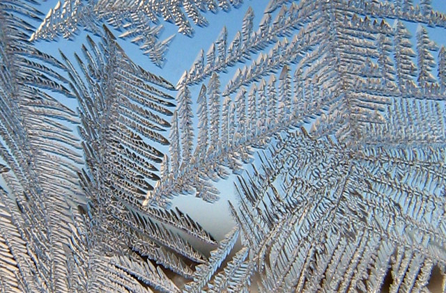 A Frosty View