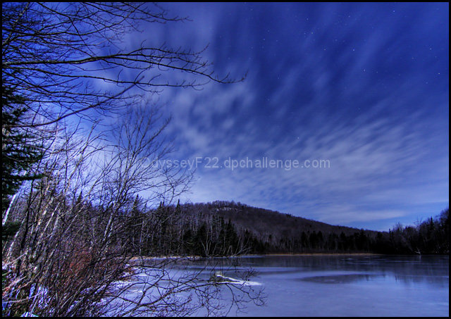 Woods and Lake by Moonlight