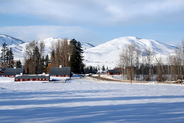 Winter Day