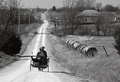 The Road Less Traveled