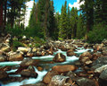 Mountain Stream