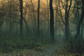 Solitary
