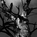 dark music
