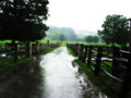 Billings Farm (Woodstock)