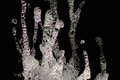 Glass Tenticals