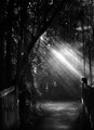 Glimpse