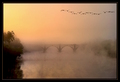 Foggy Dawn on the Rappahanock River