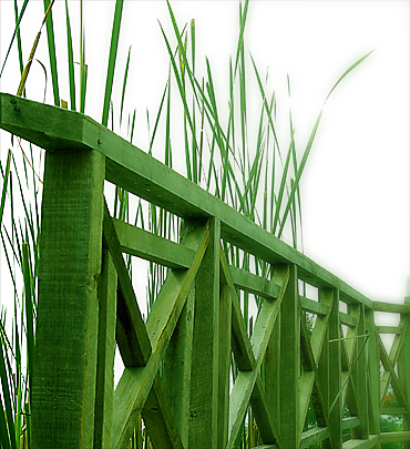 Green Fence
