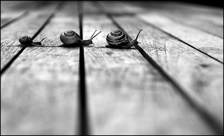 cRoSsInG LiNEs