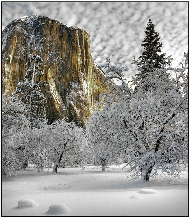 Snow Day in Yosemite