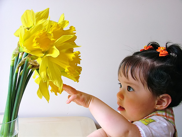Early Curiosity