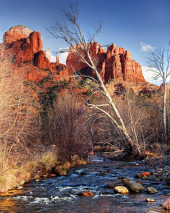 Springtime in Sedona