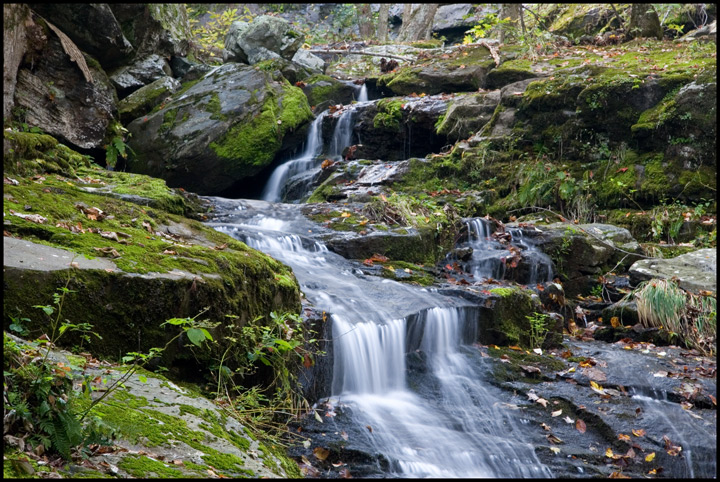 Sequential Cascades