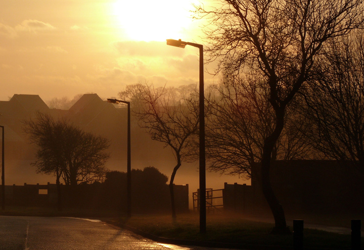 Evening Winter Mist