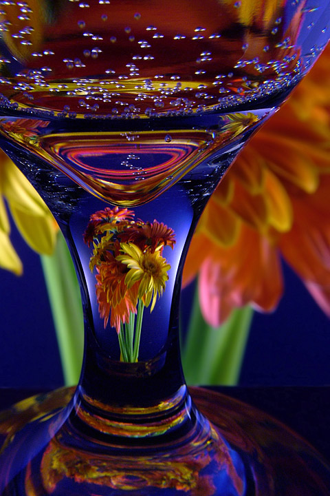 Gerbera Glass