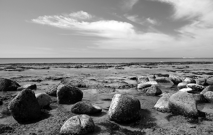 Playa Elegante