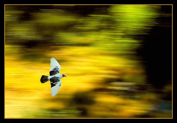 Always in motion