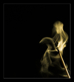 Ghost?