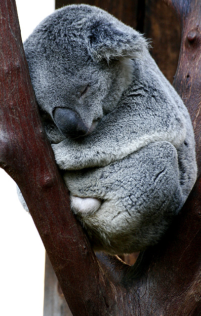 Sleep Time