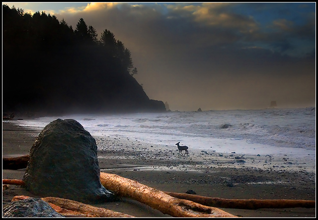 Solitude's Dawn
