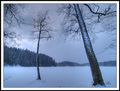 Lake's door