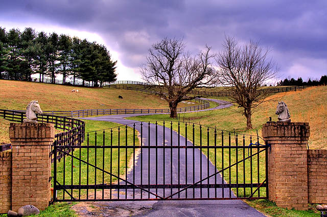 Horse Farm