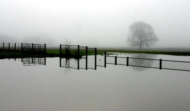 foggy gate