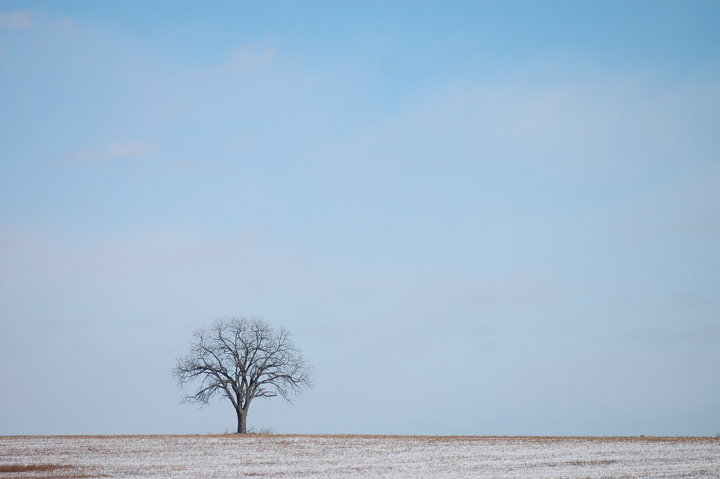 A Tree