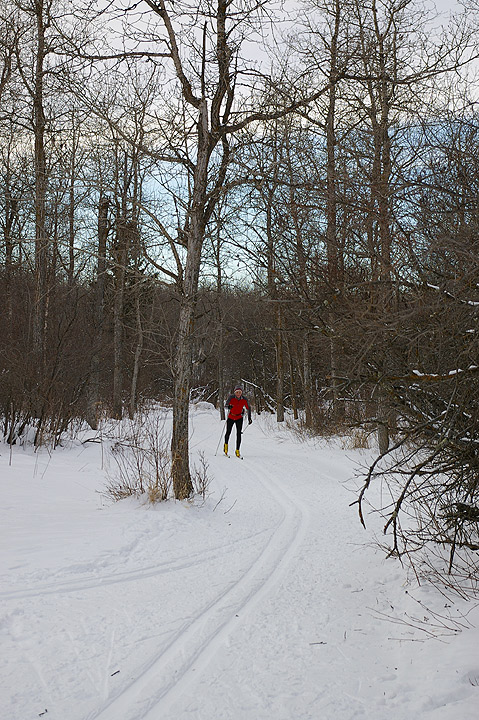 The Skier